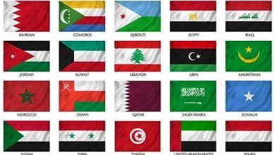 كم عدد الدول التي يمكن طلبها منتجاتك المفضلة من نعومي